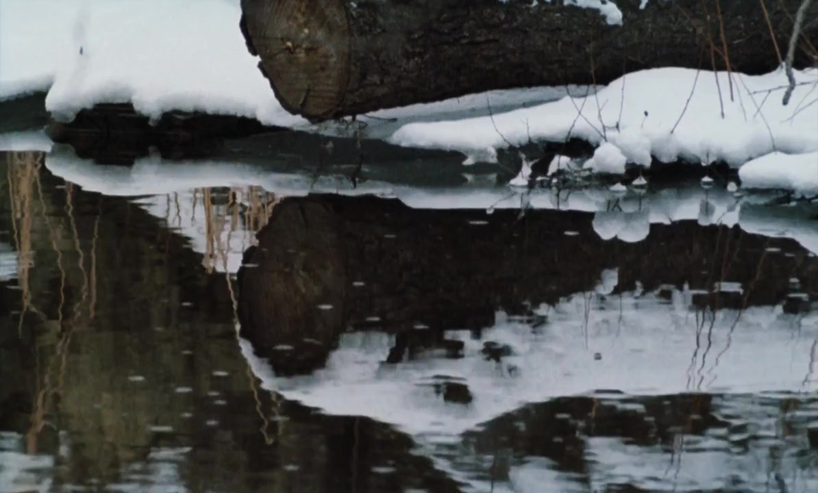 Det sociala arvet screenshot 3