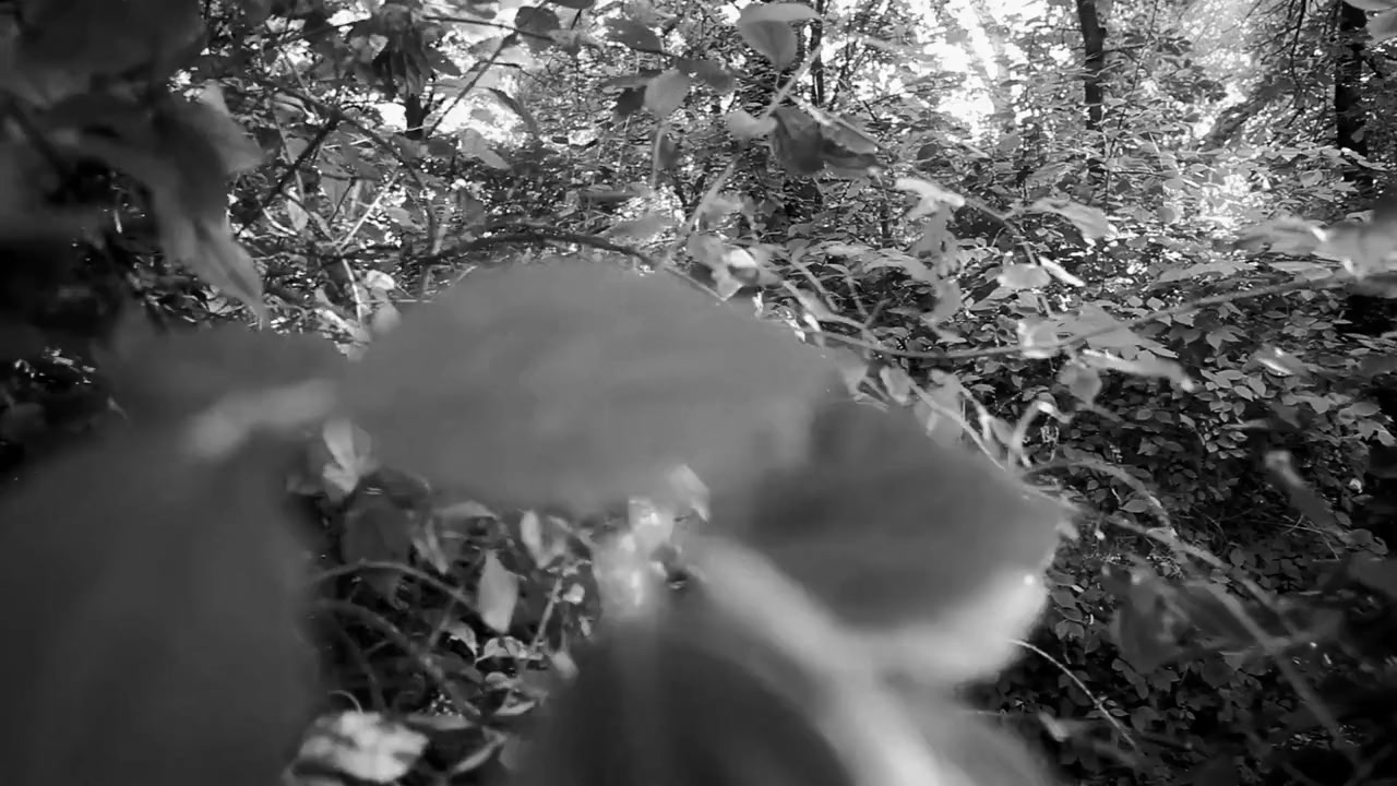 Miss Futuro screenshot 2