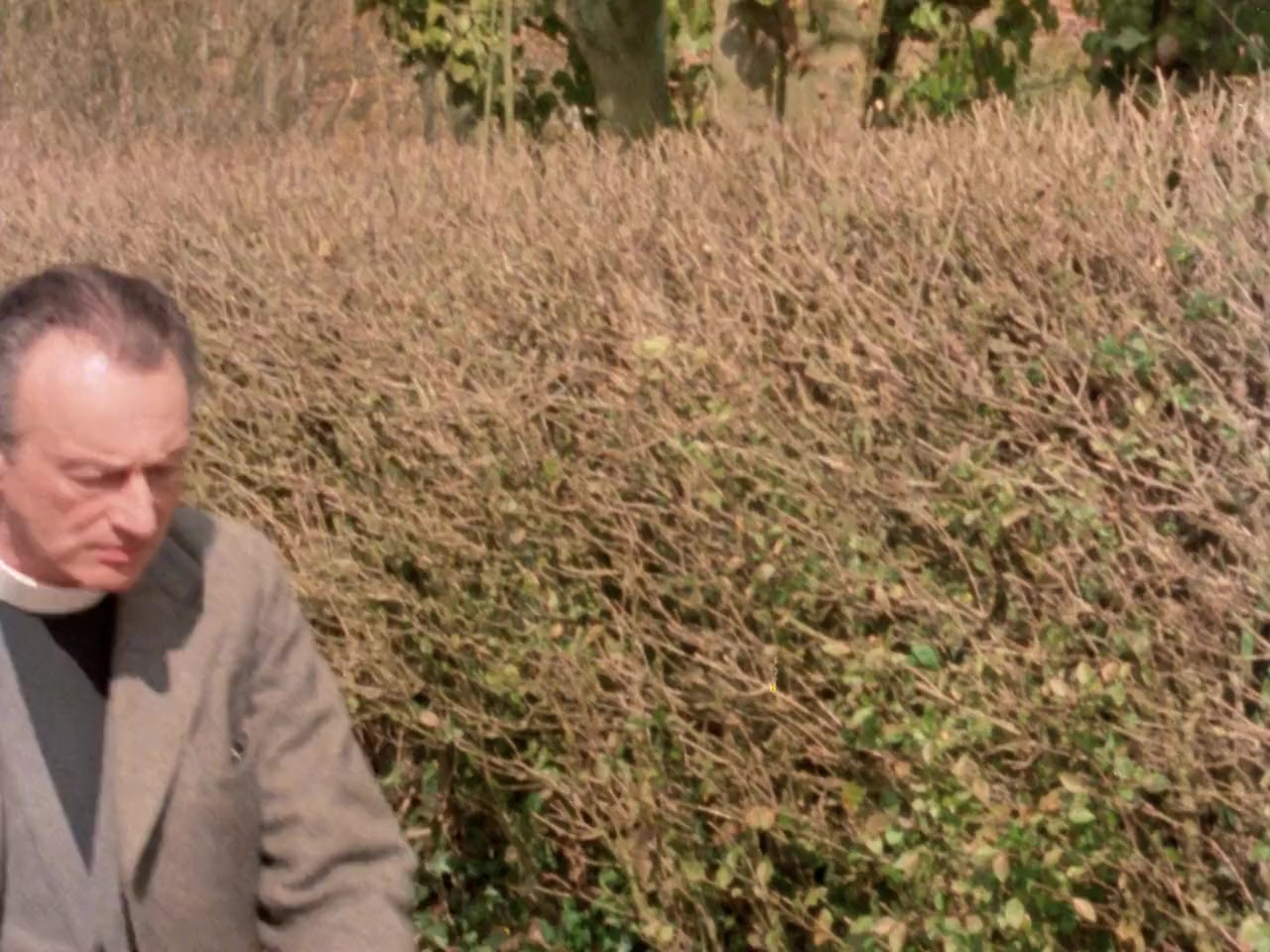 Miss Marple: The Murder at the Vicarage screenshot 1