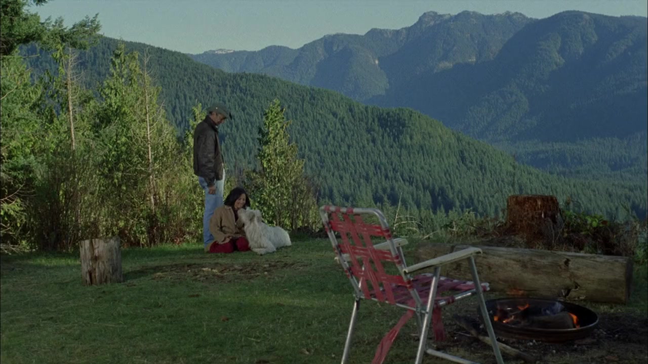 Missing in America screenshot 1