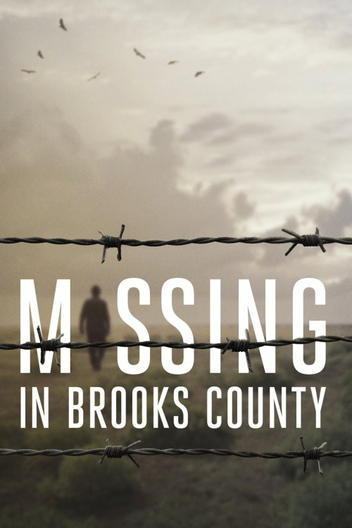 Missing in Brooks County (2020) poster