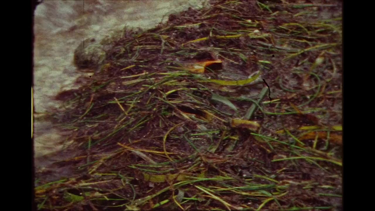 Mission Blue screenshot 2