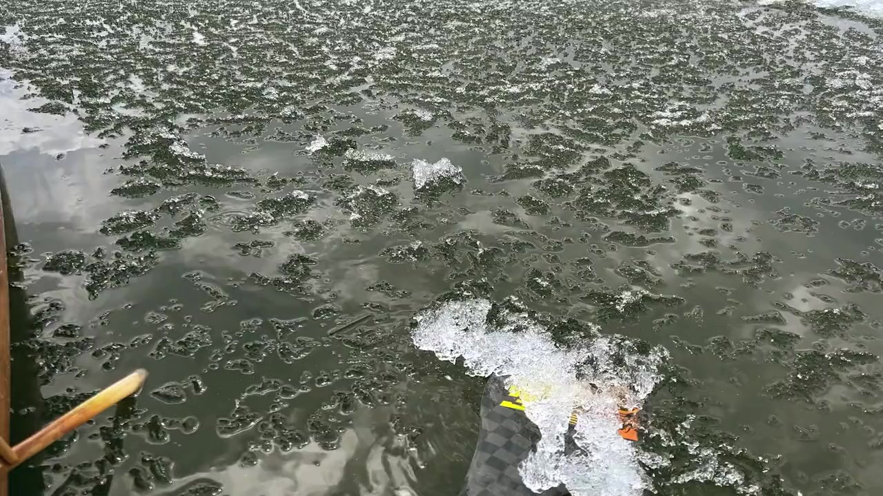 Mississippi Speed Record: An Epic Adventure screenshot 1