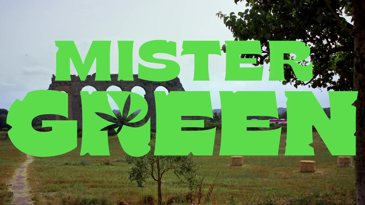 Mister Green screenshot 1