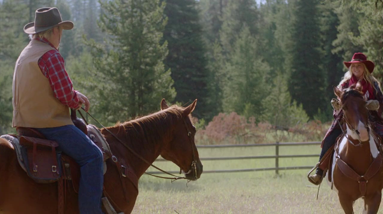 Mistletoe in Montana screenshot 3
