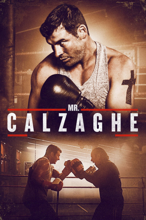 Mr Calzaghe (2015) poster