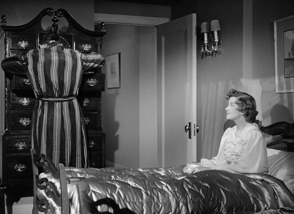 Mr. Blandings Builds His Dream House screenshot 2