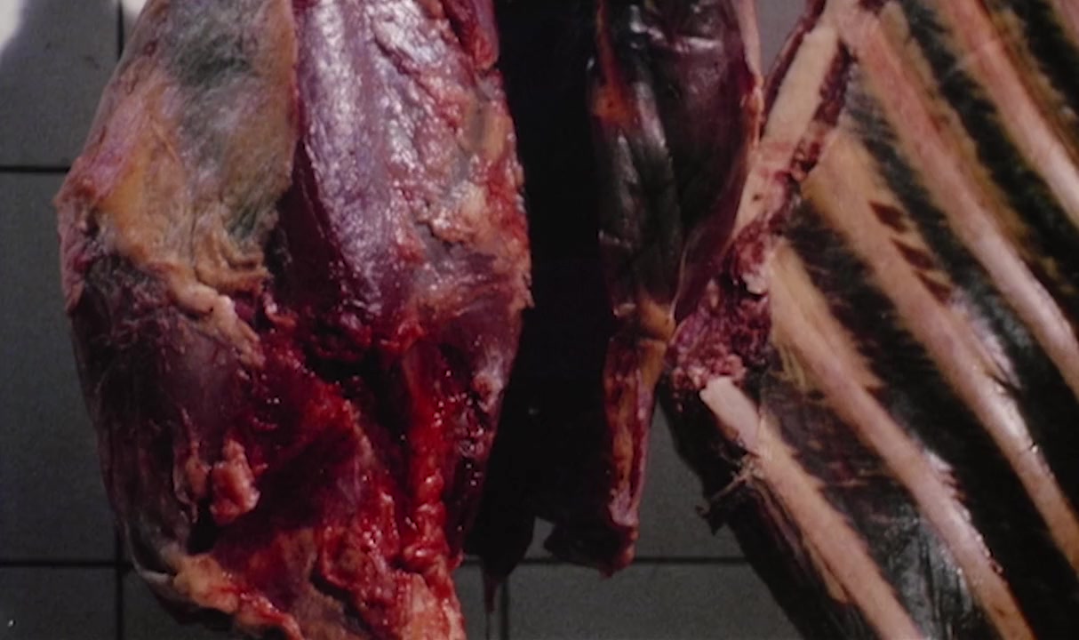 Le chien de Monsieur Michel screenshot 1