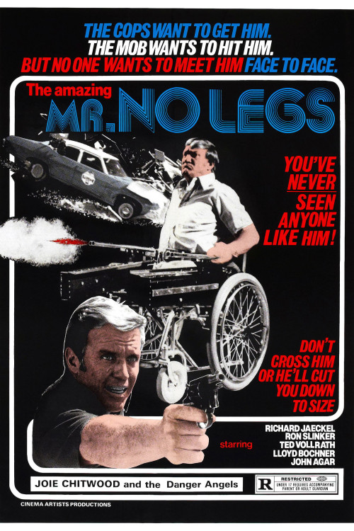 Mr. No Legs (1978) poster