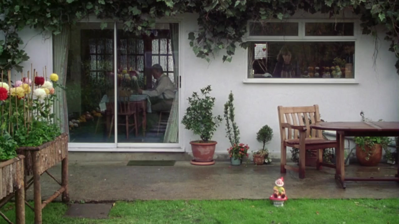Mrs Caldicot's Cabbage War screenshot 2