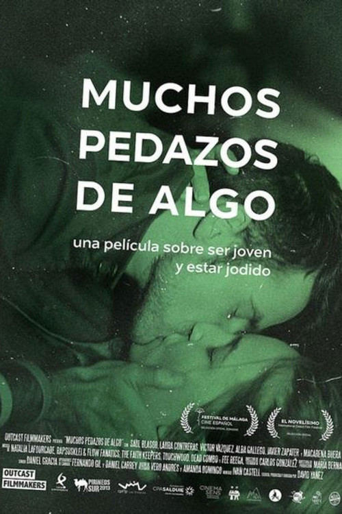Muchos pedazos de algo (2015) poster