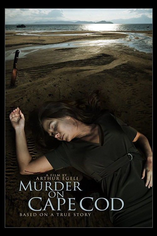 Murder on the Cape (2017) poster