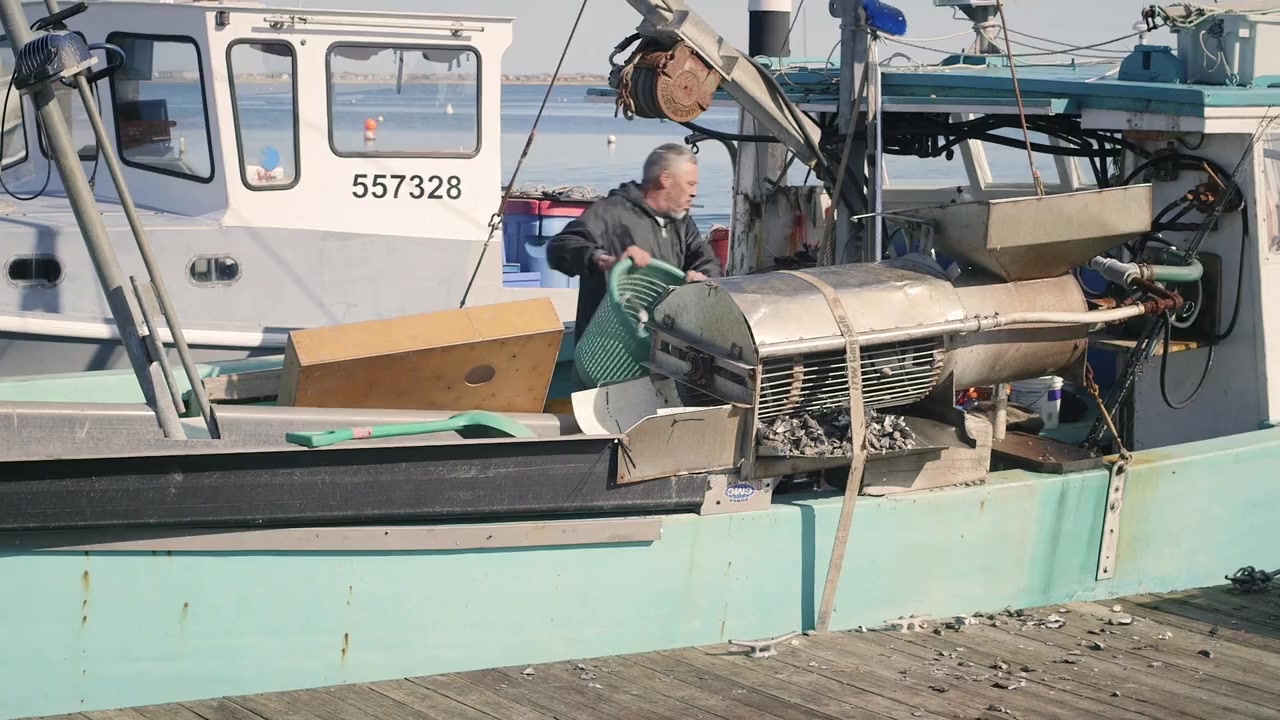 Murder on the Cape screenshot 1