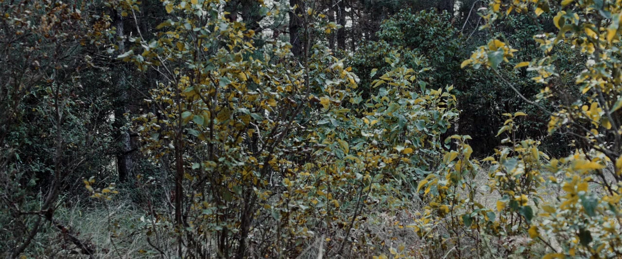 Murder Company screenshot 1