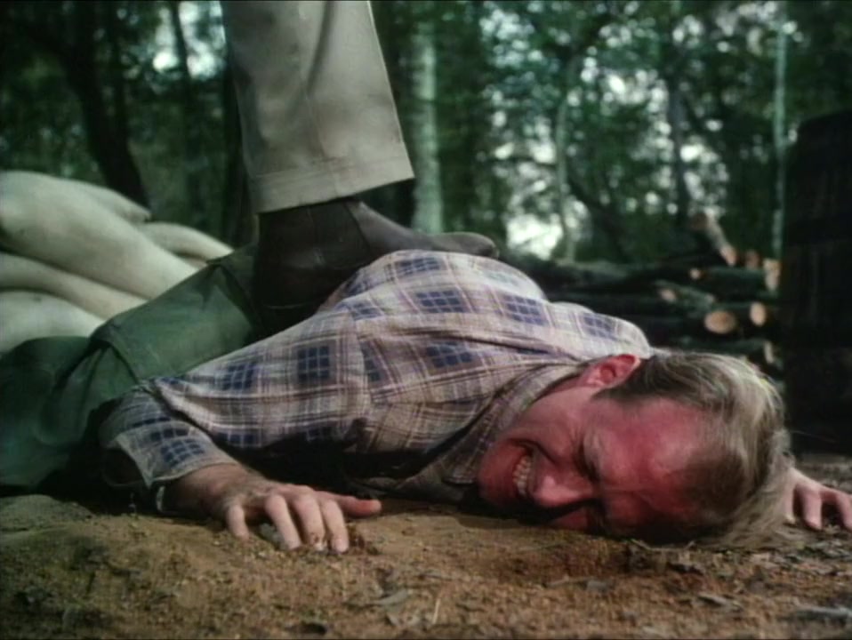 Murder in Coweta County screenshot 3