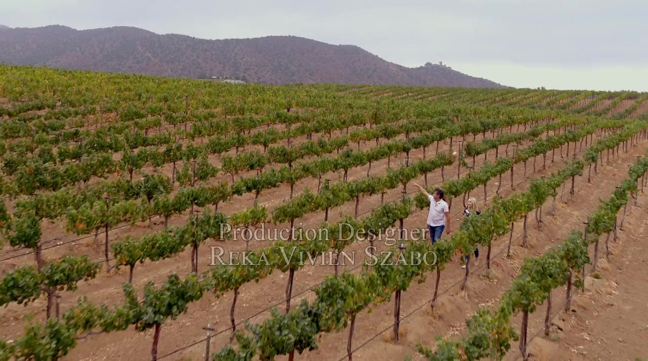 Murder in the Vineyard screenshot 1