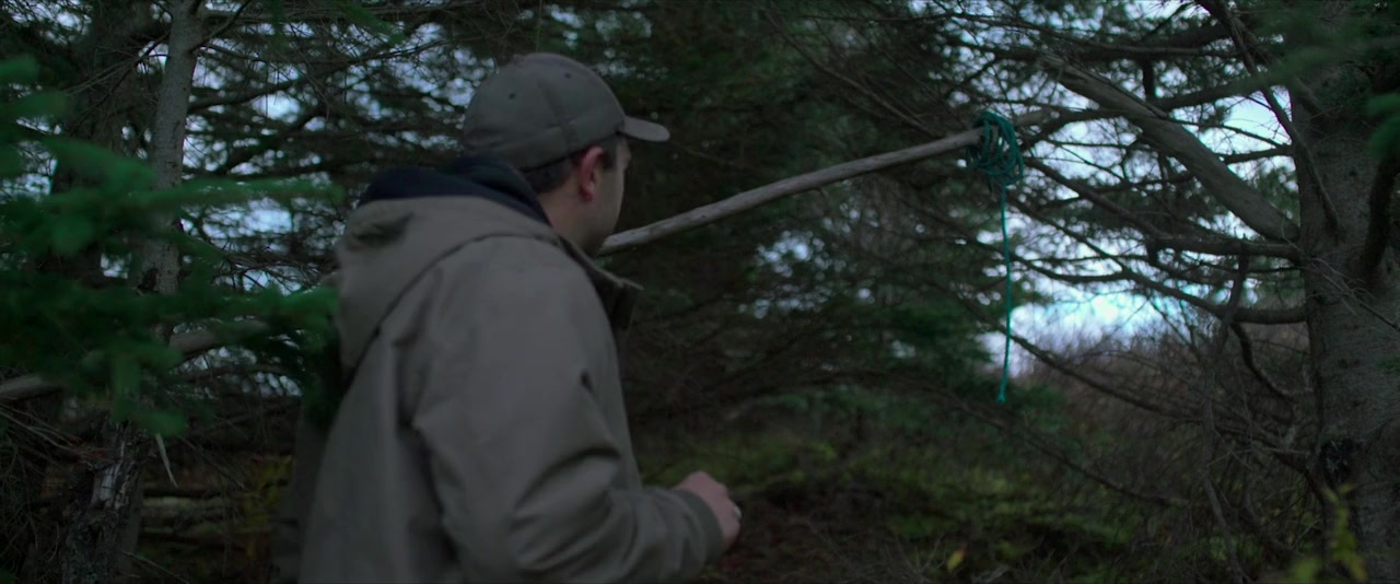 Murder in the Cove screenshot 2