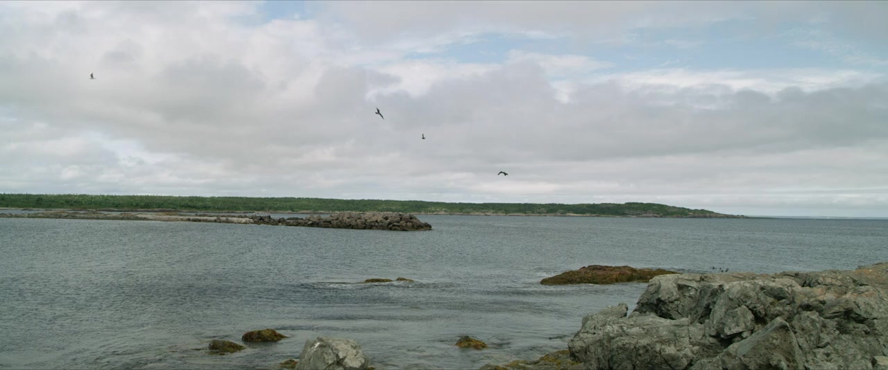 Murder in the Cove screenshot 3