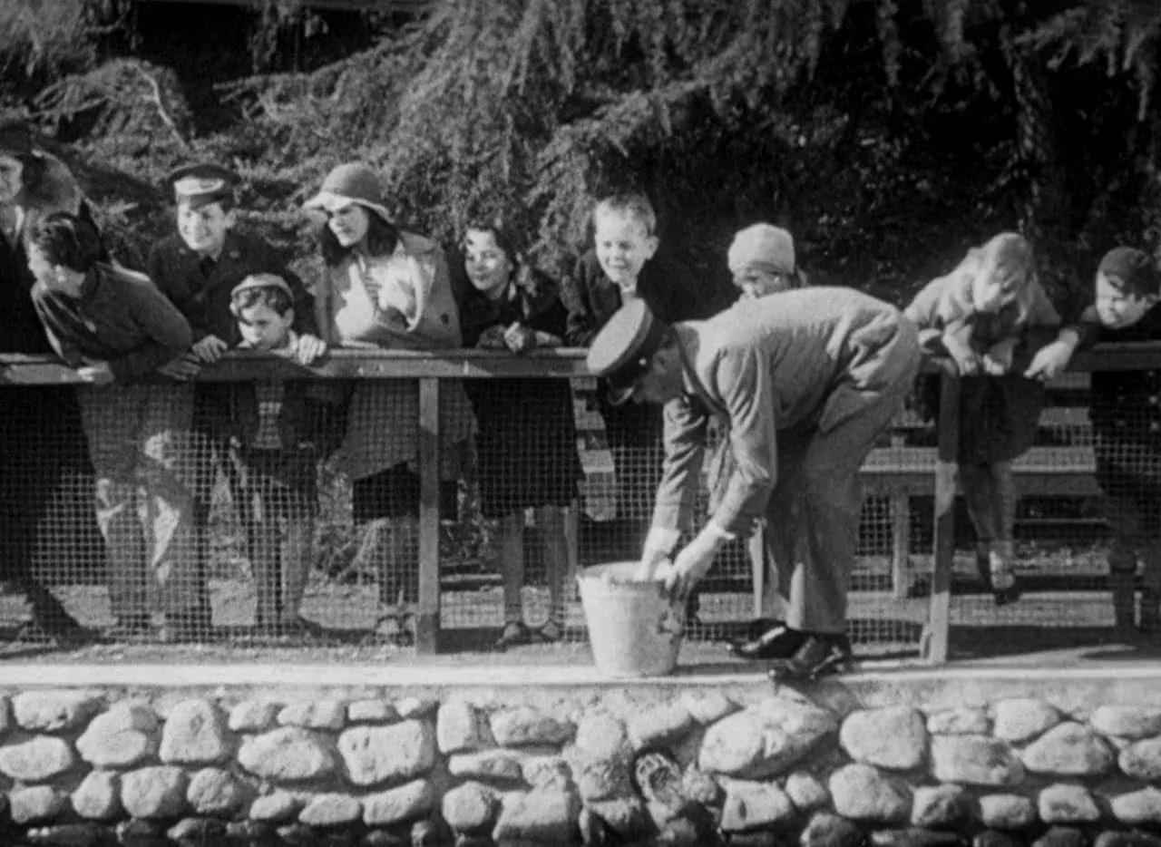 Murders in the Zoo screenshot 1