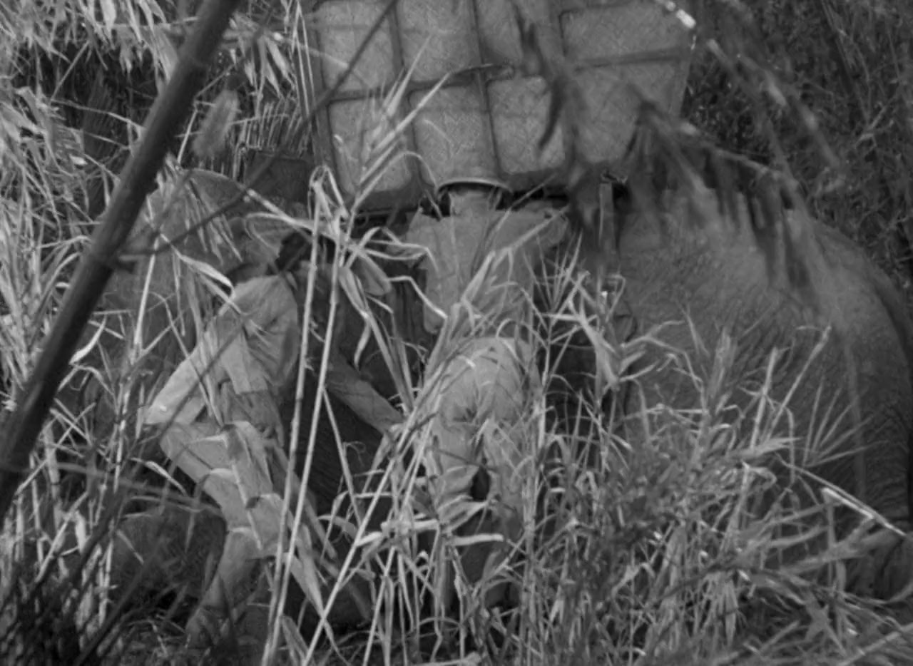 Murders in the Zoo screenshot 2