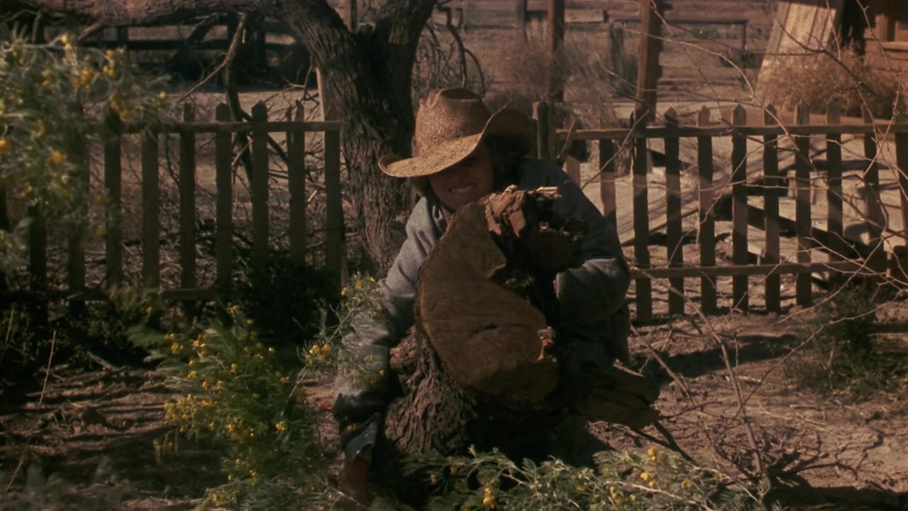 Murphy's Romance screenshot 3