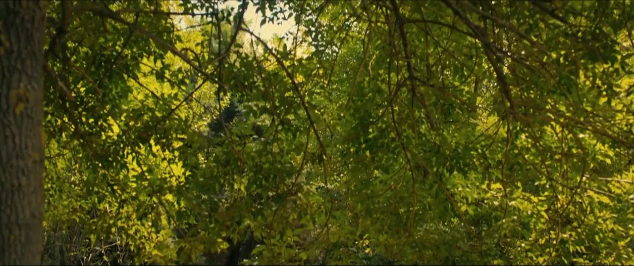 Müsaadenizle Büyükler screenshot 1
