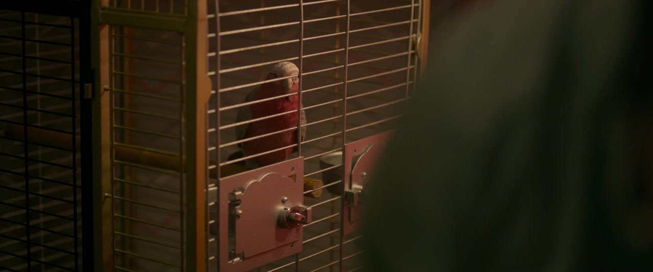 Music Hole screenshot 3