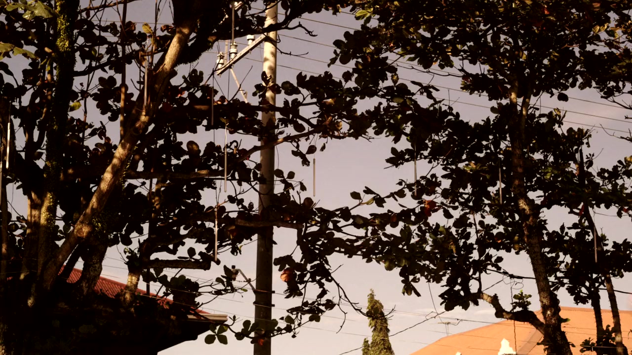 Must Be... Love screenshot 2