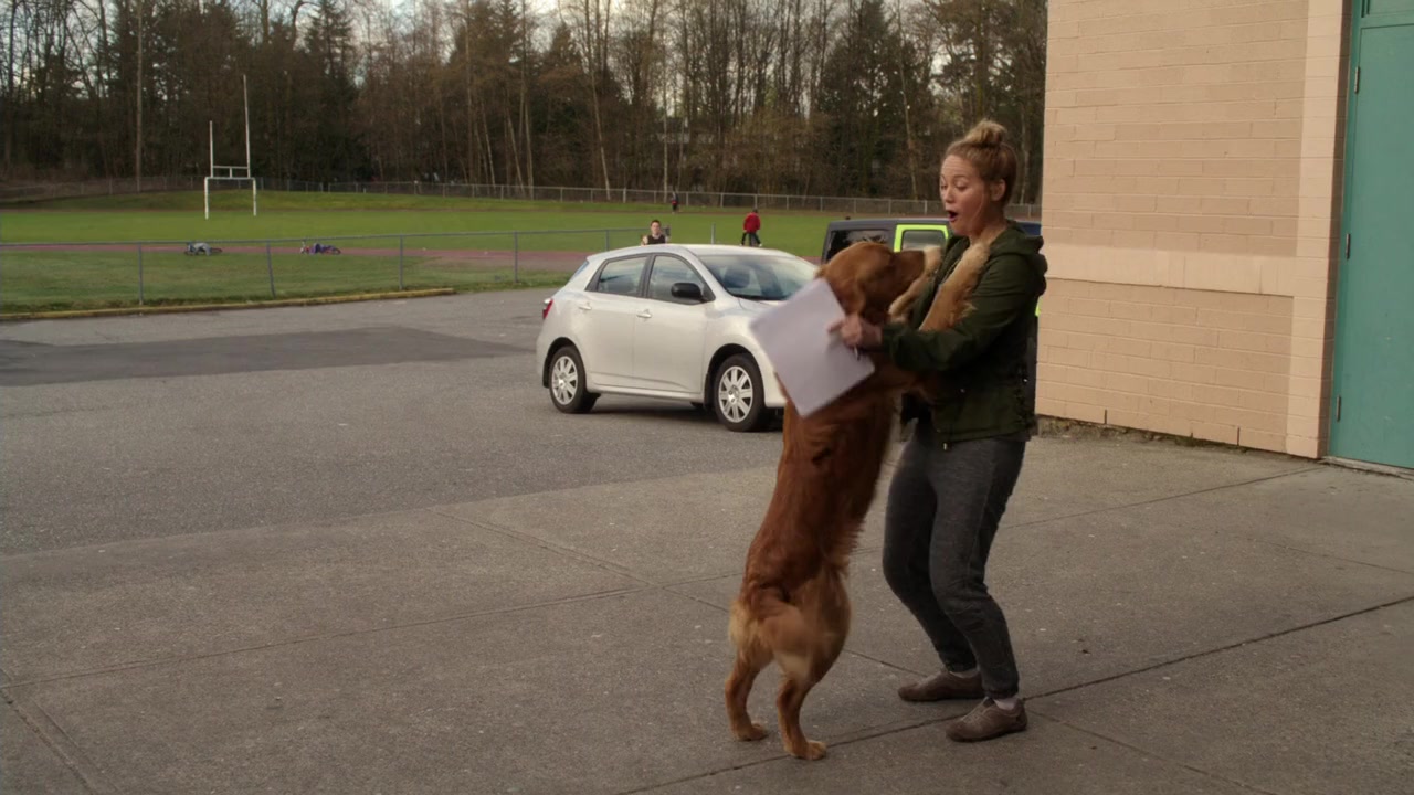My Boyfriends' Dogs screenshot 1