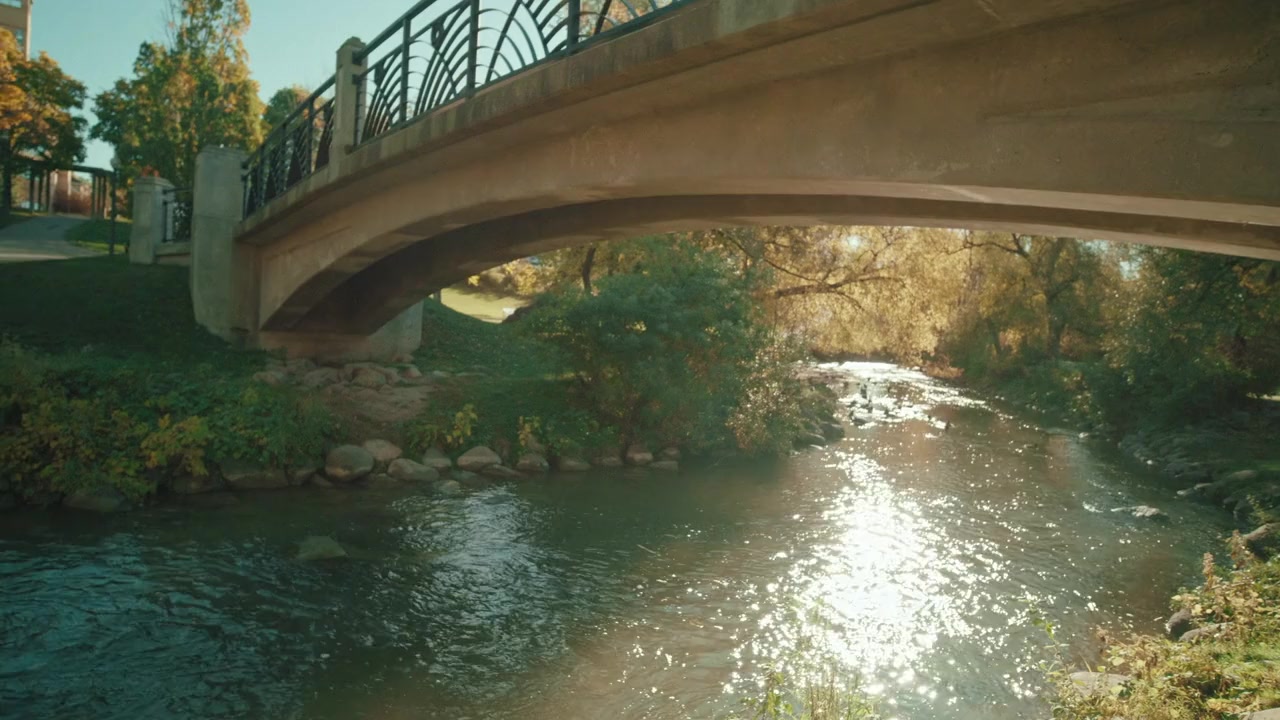 My Boss' Wedding screenshot 3