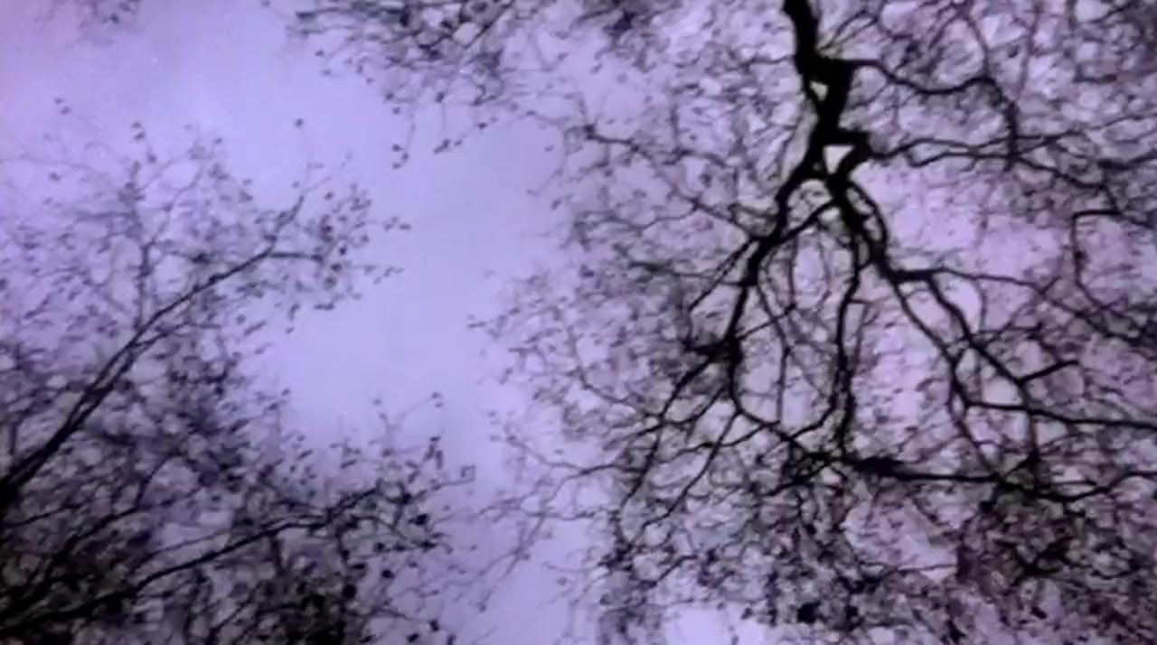 My Beautiful Broken Brain screenshot 1