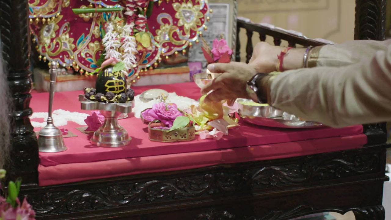 My Big Bollywood Wedding screenshot 2