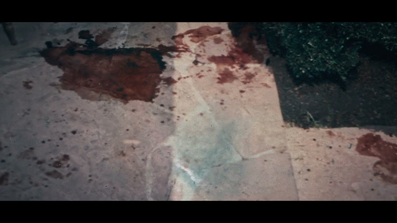 My Grandfather Charles Manson screenshot 1