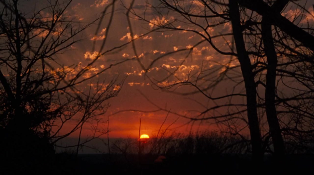 My Dog Skip screenshot 3