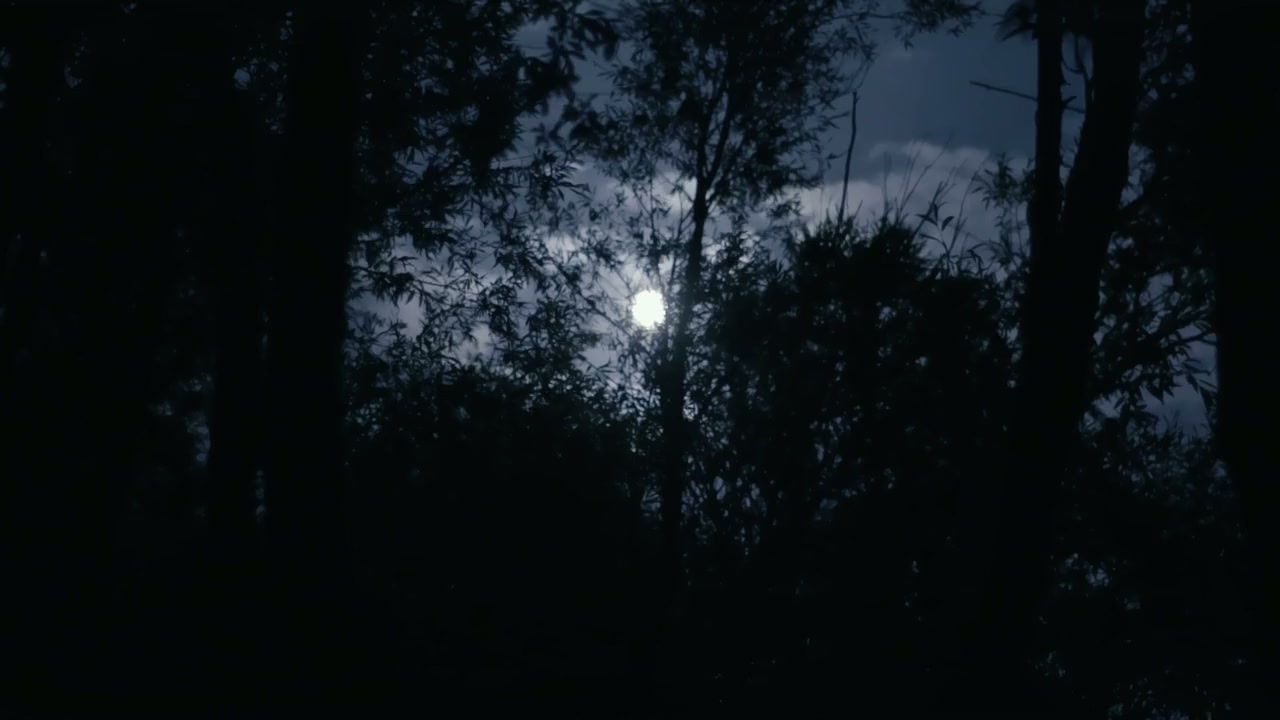 My Dear screenshot 2