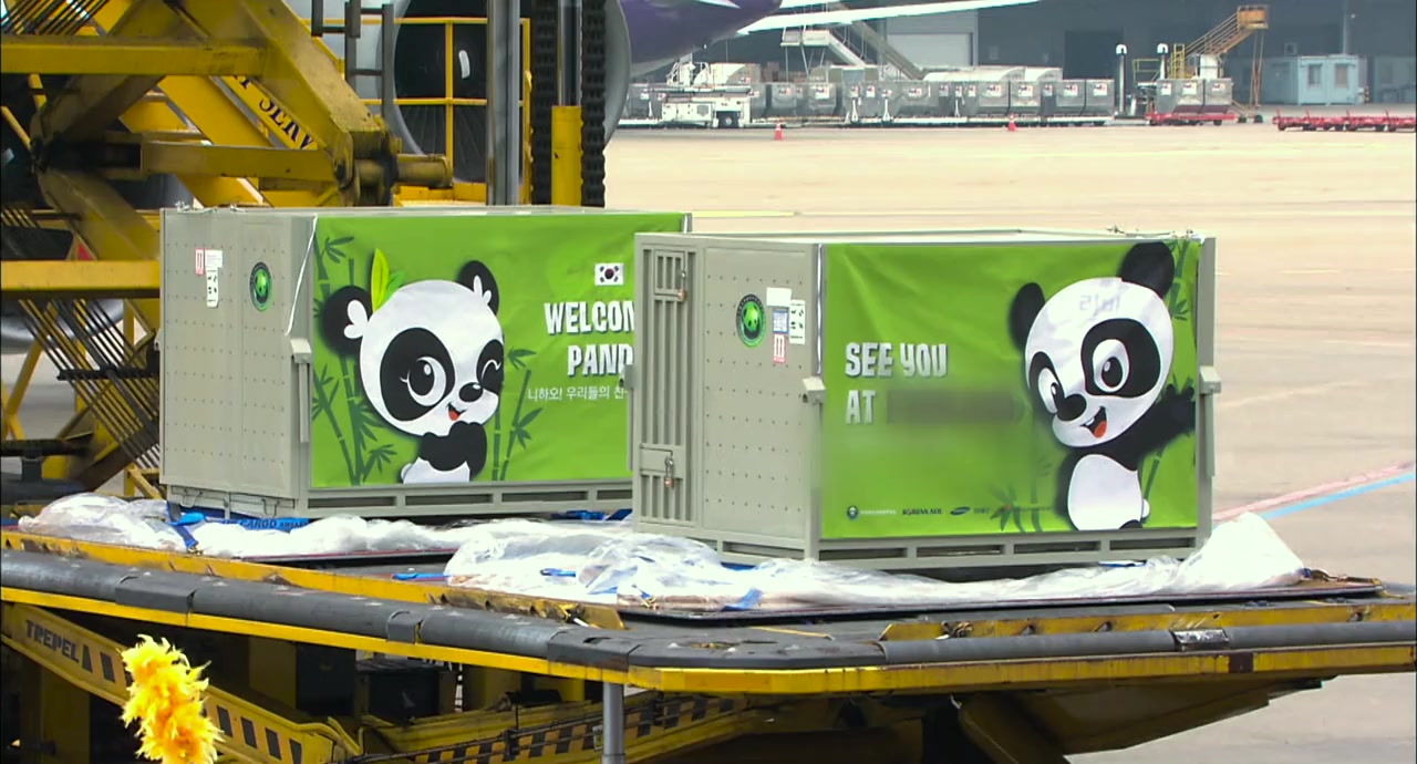 My Dearest Fu Bao screenshot 1