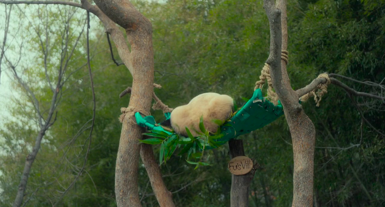 My Dearest Fu Bao screenshot 3