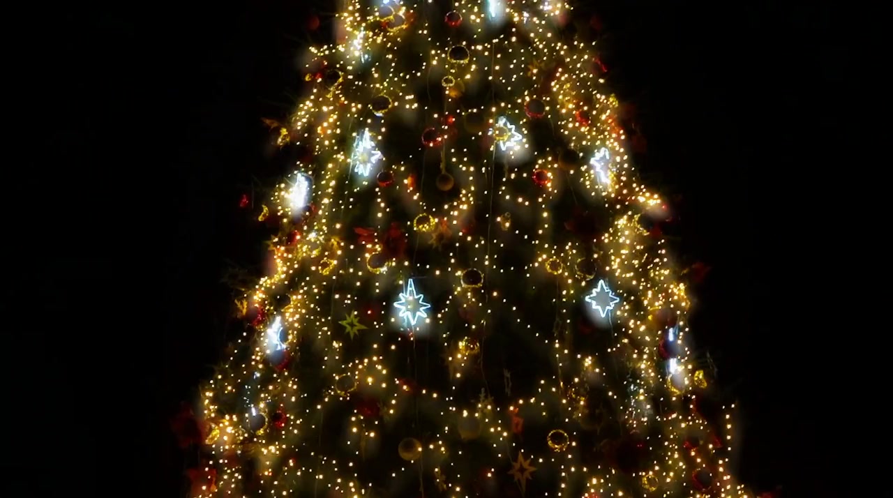 My Favorite Christmas Melody screenshot 3