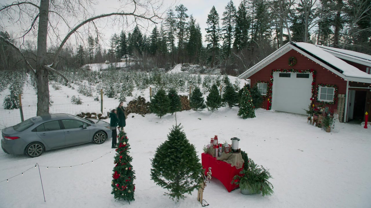 My Favorite Christmas Tree screenshot 1