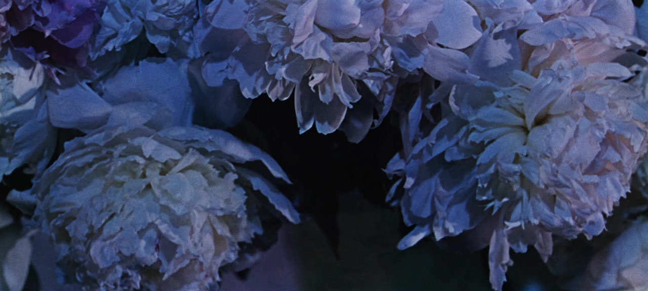 My Fair Lady screenshot 2