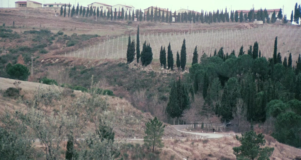 Amici miei screenshot 1