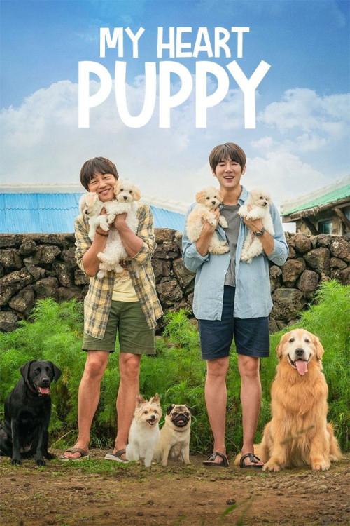 Meongmongi (2023) poster