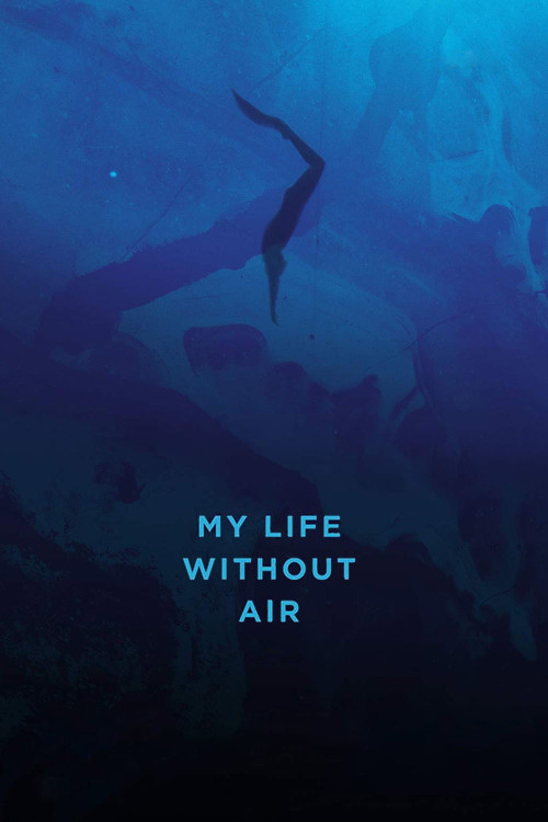 My Life Without Air (2017) poster
