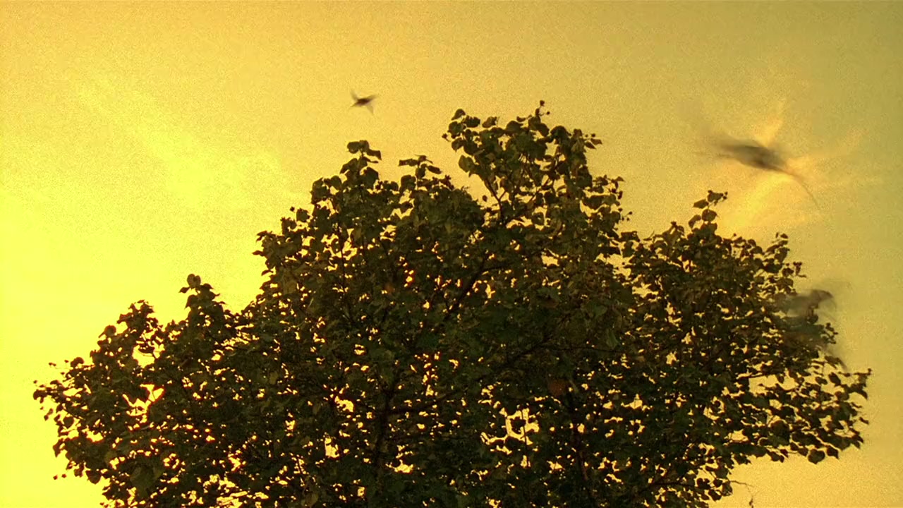 Hang wan chiu yan screenshot 1