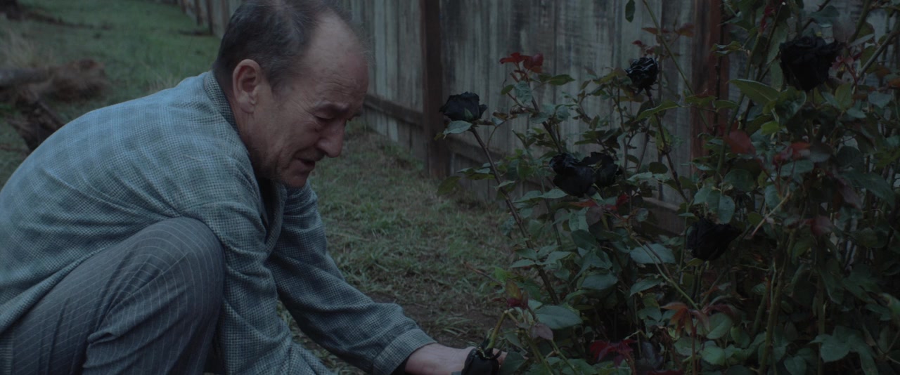 My Neighbor Adolf screenshot 3