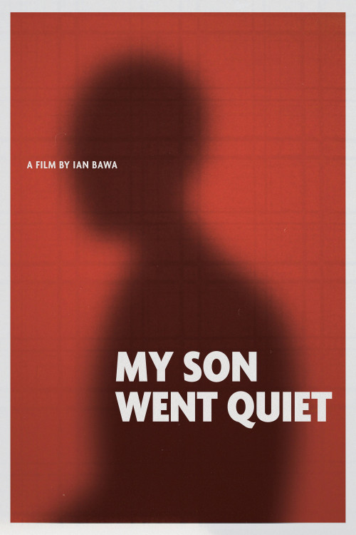 My Son Went Quiet (2024) poster