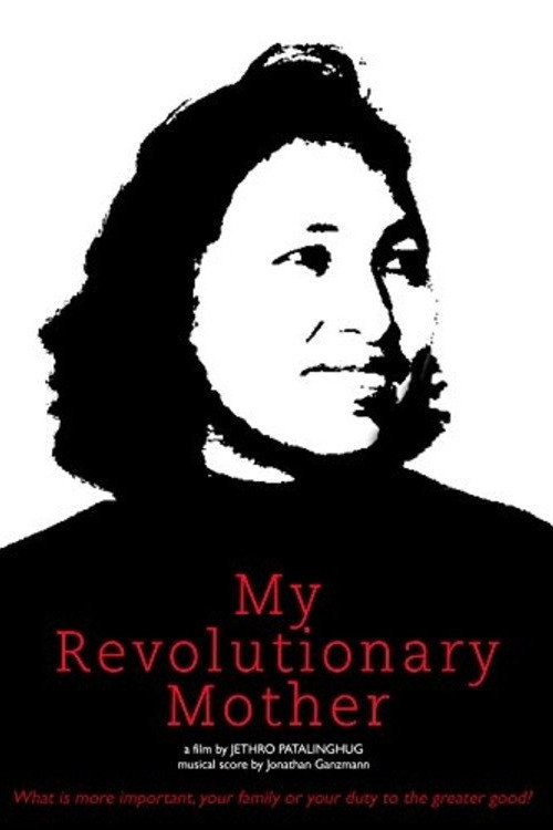 My Revolutionary Mother (2013) poster