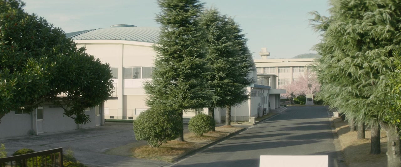 Sensei! screenshot 1