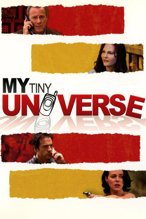 My Tiny Universe (2004) poster