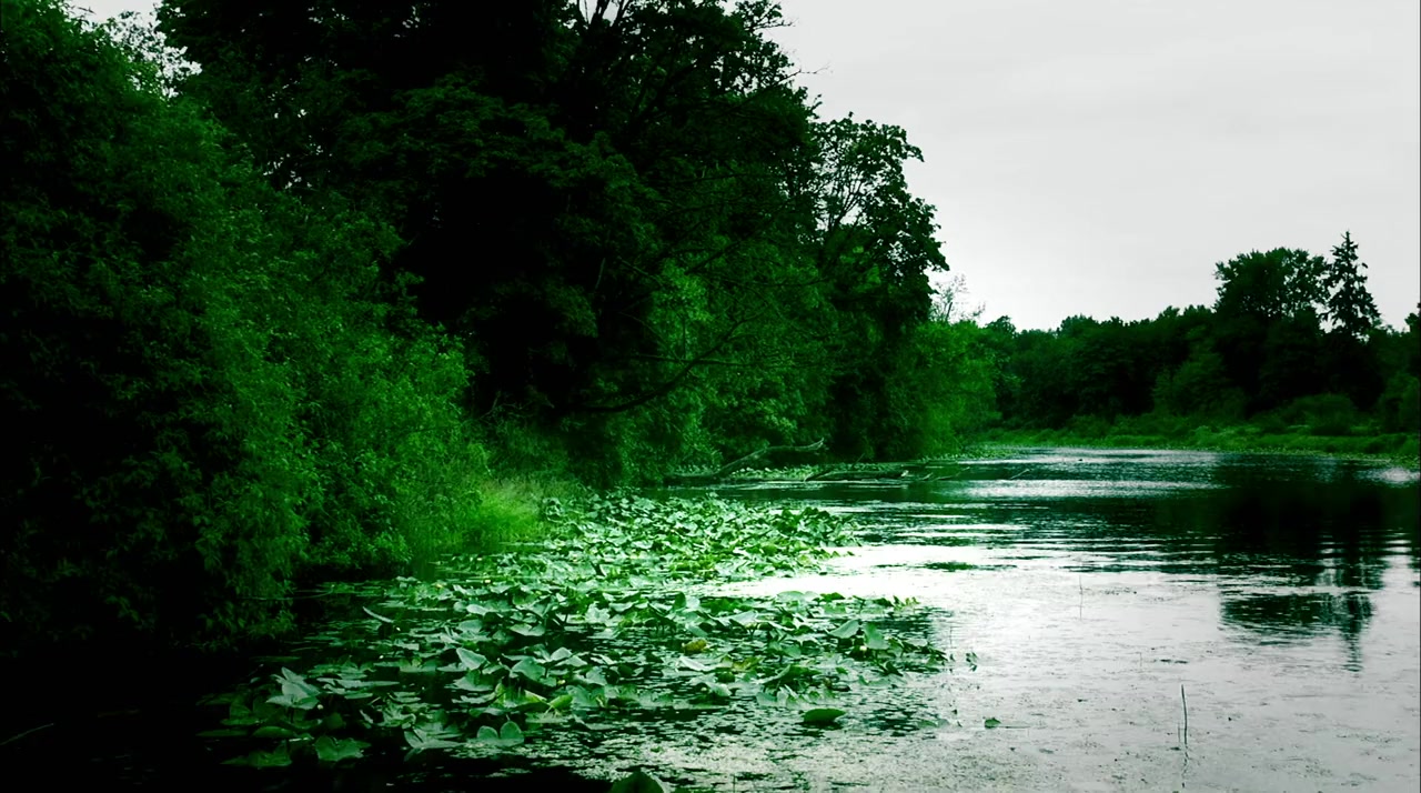 My Uncle Is the Green River Killer screenshot 2